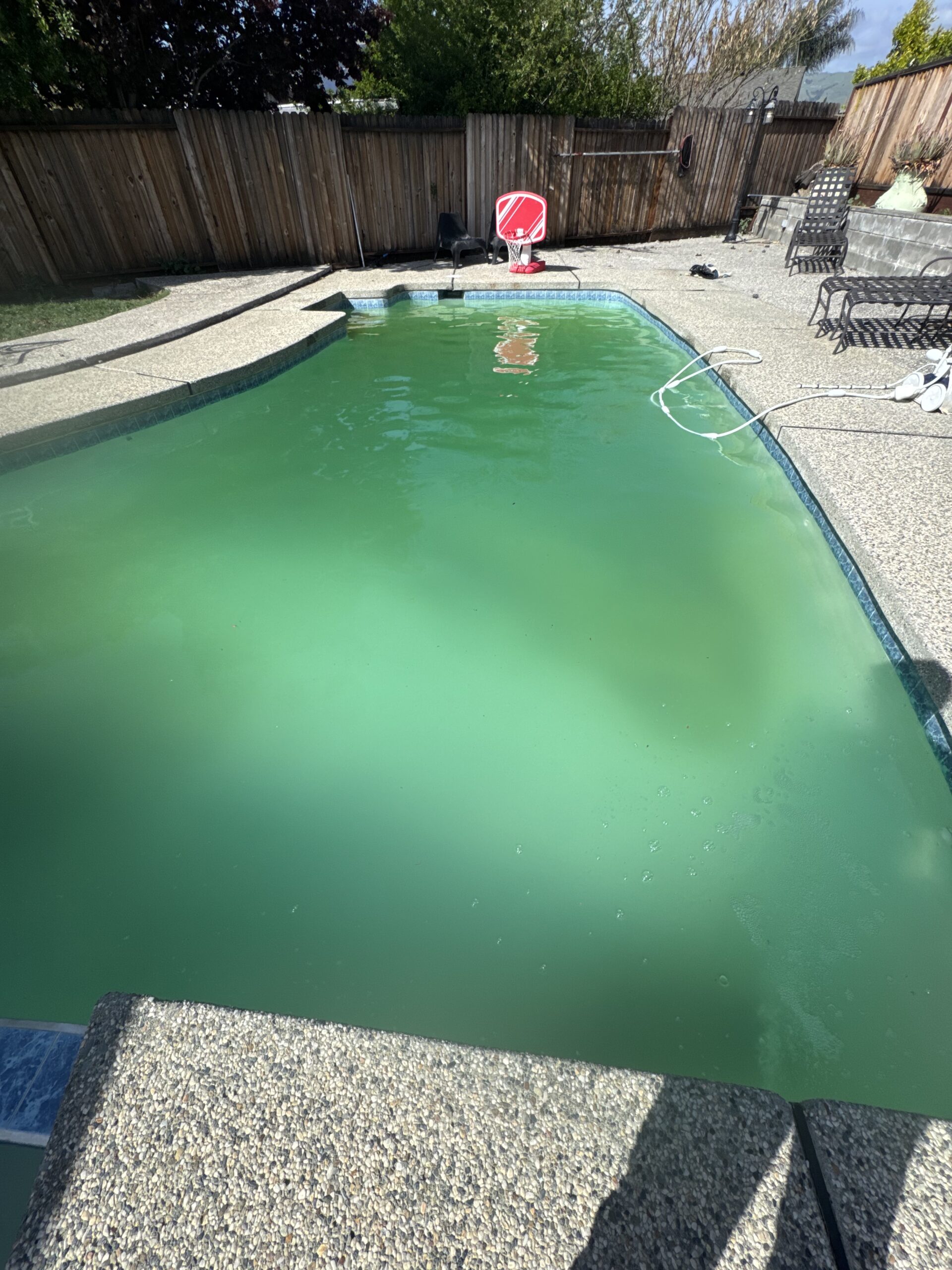 Green, algae-filled pool before a green to clean treatment