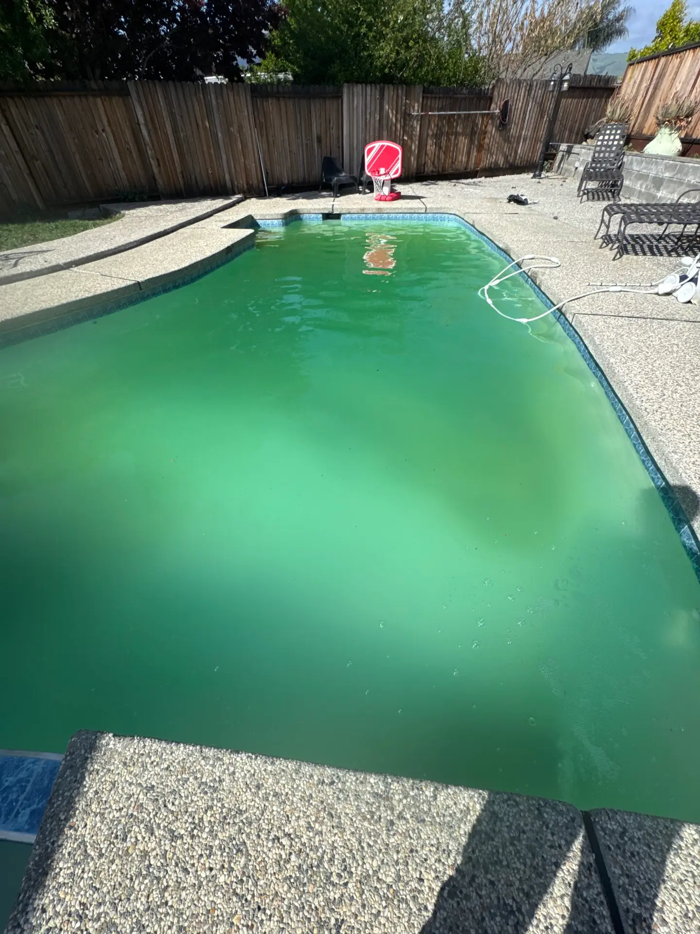 Green, algae-filled pool before a green to clean treatment