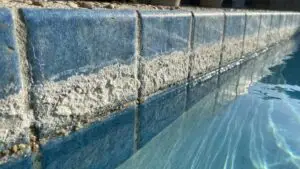Hard-water calcium scale on pool waterline tile in North Texas